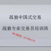 张磊 波浪优化...