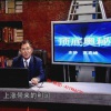 高弈峰 顶底奥...