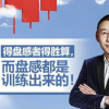 复旦求是操盘手...